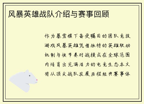 风暴英雄战队介绍与赛事回顾